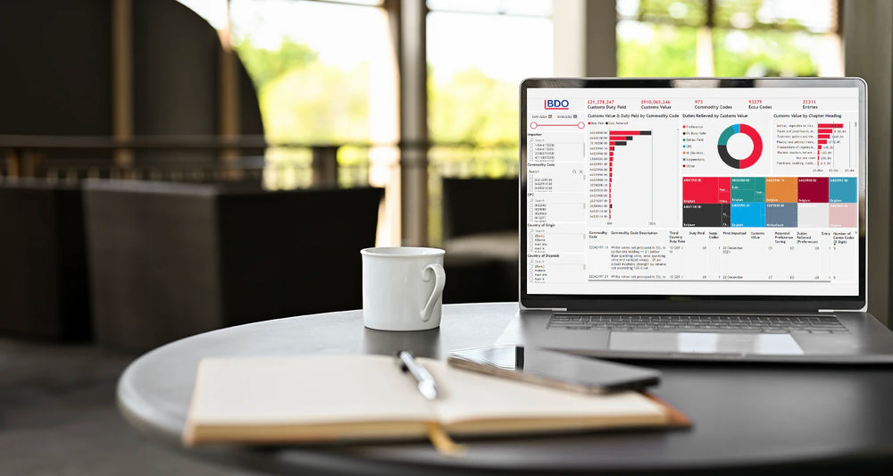 Customs Data Analytics Tool